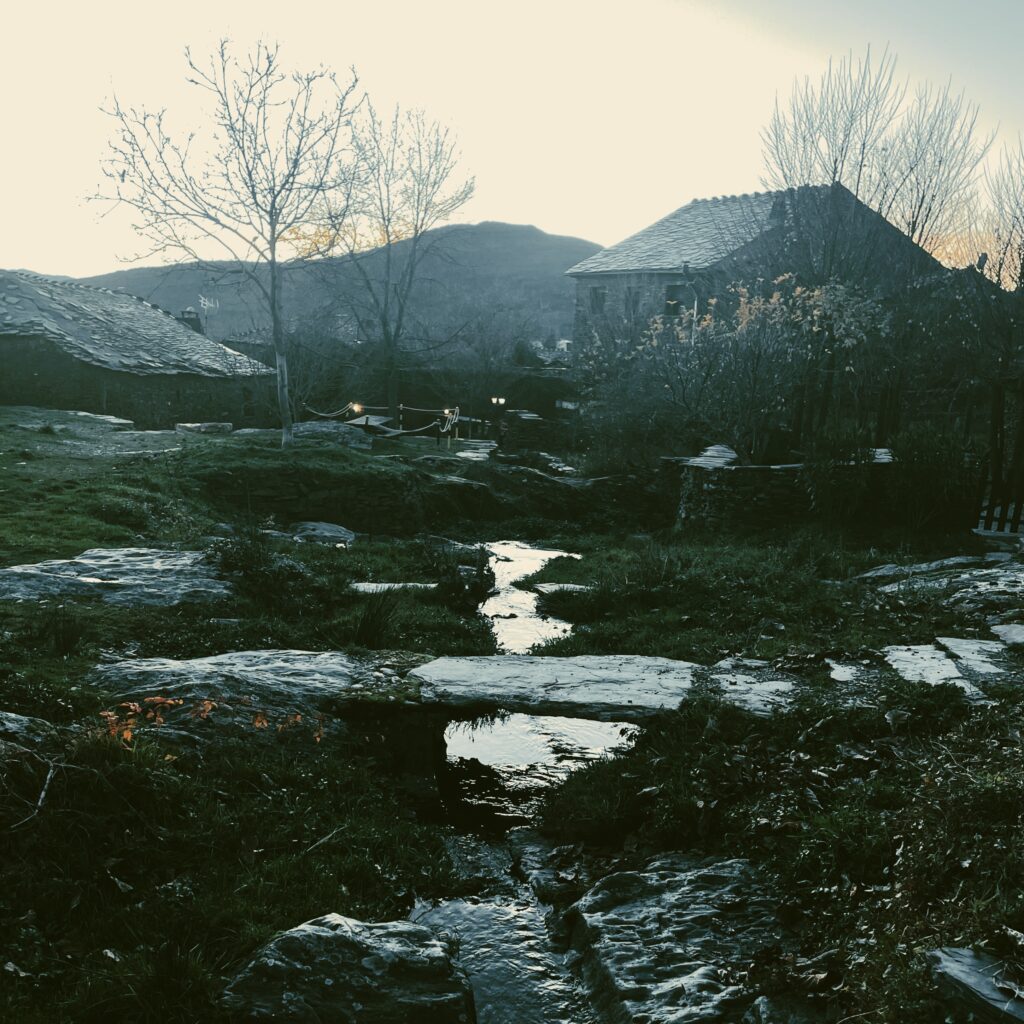 Horizontes Rurales: Arranca con Éxito 